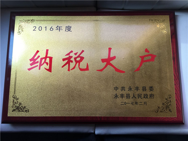 2017年纳税大户