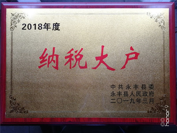 2018年纳税大户